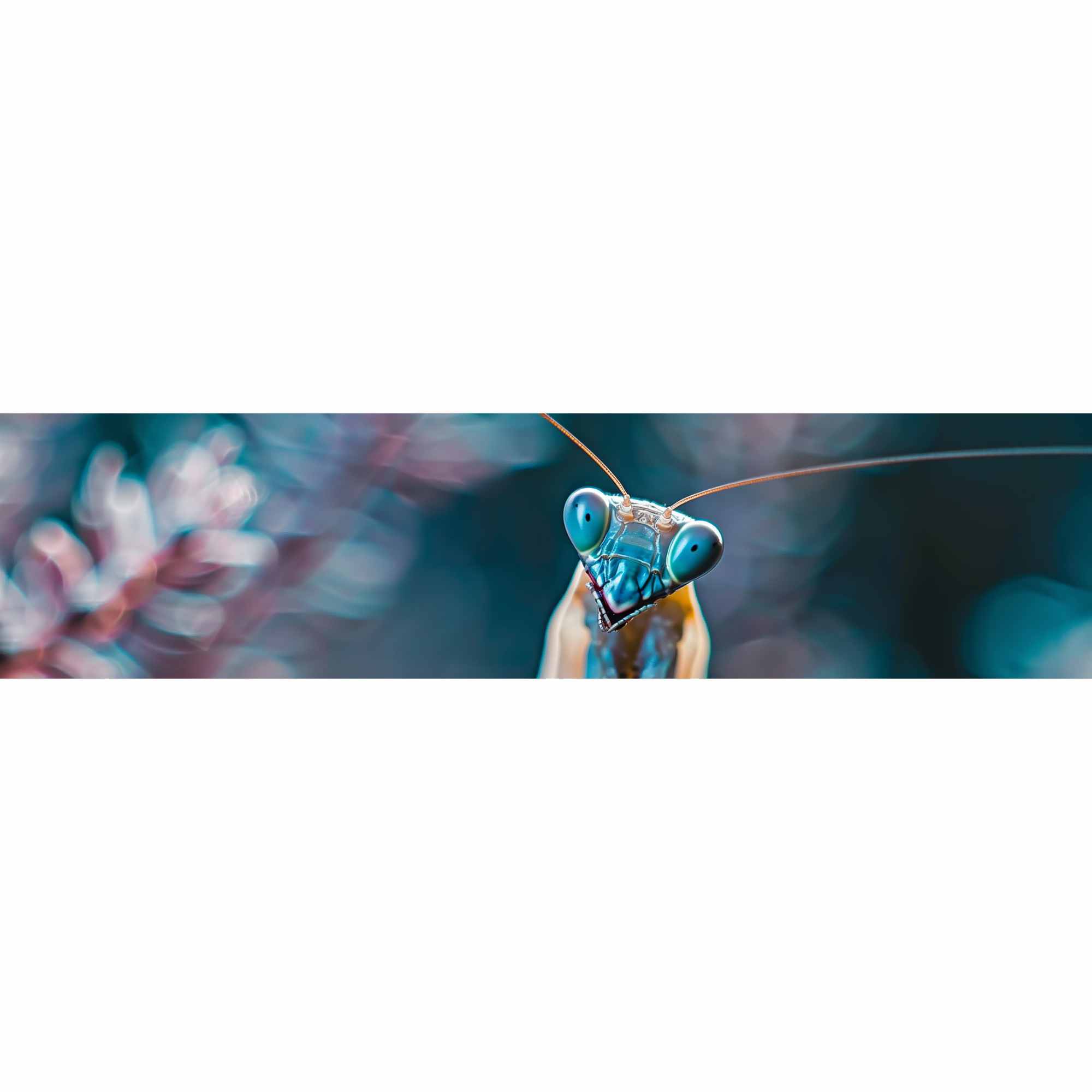 Типы обложек: Статичная, Живая и Динамическая