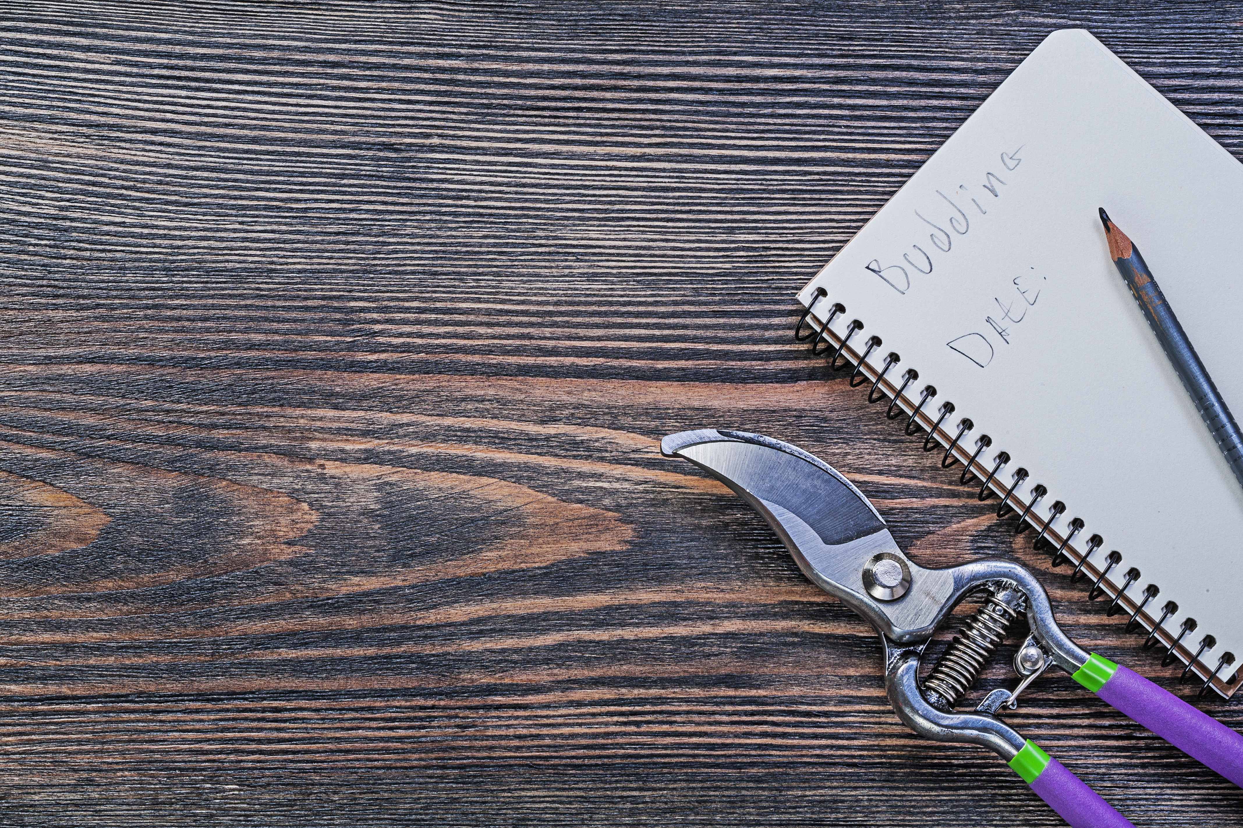 Инструменты и сервисы для создания обложек